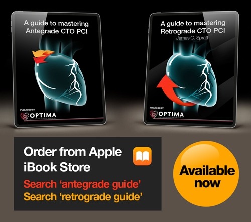 A guide to mastering Retrograde and Antegrade CTO PCI